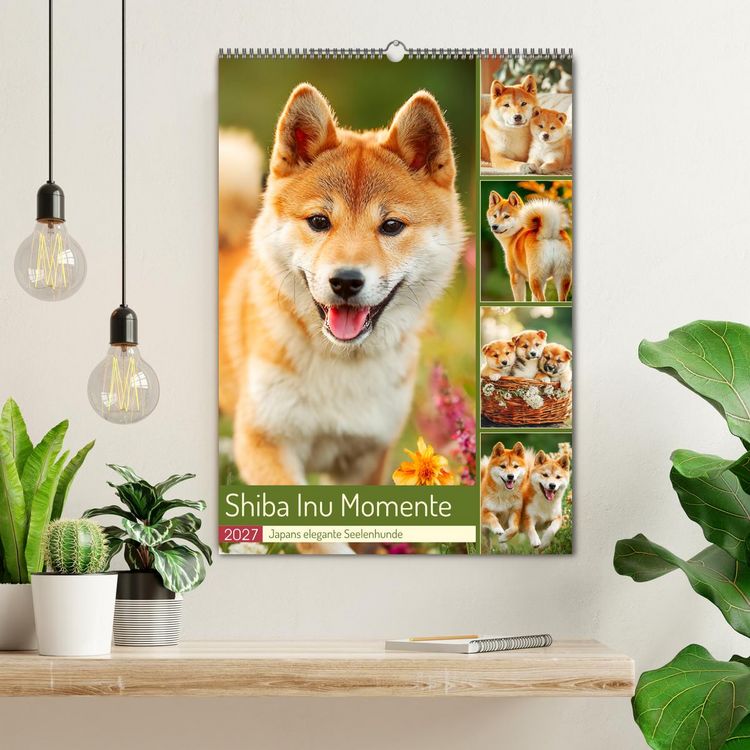 Produktbild: Shiba Inu Momente. Japans elegante Seelenhunde (Wandkalender 2027 DIN A2 hoch), CALVENDO Monatskalender
