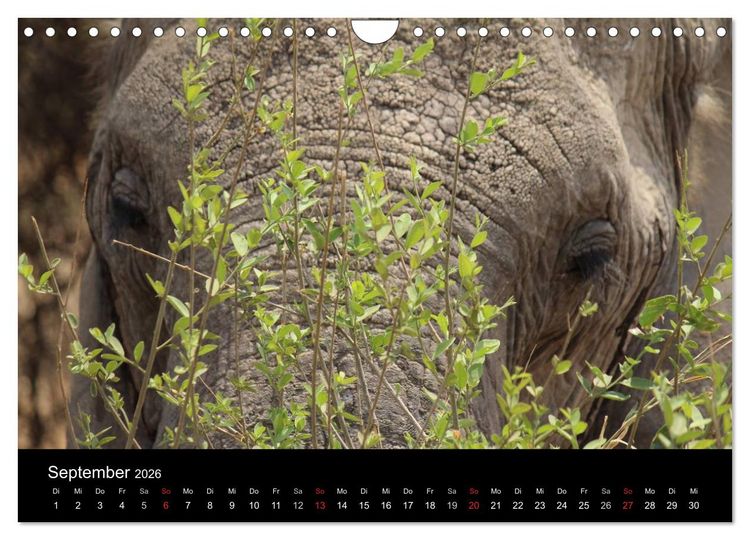 Produktbild: Tansania (Wandkalender 2026 DIN A4 quer), CALVENDO Monatskalender