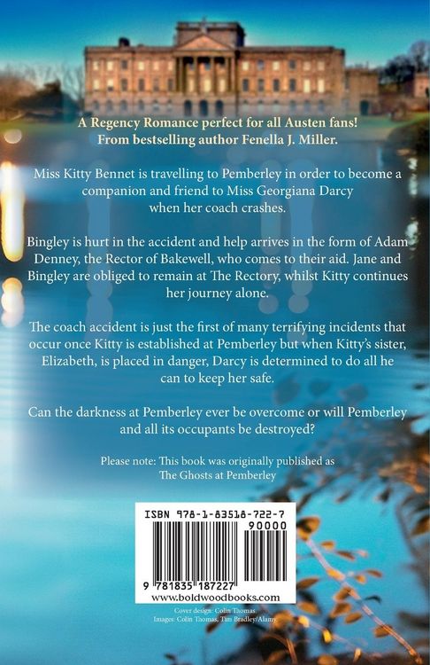 Produktbild: Trouble at Pemberley