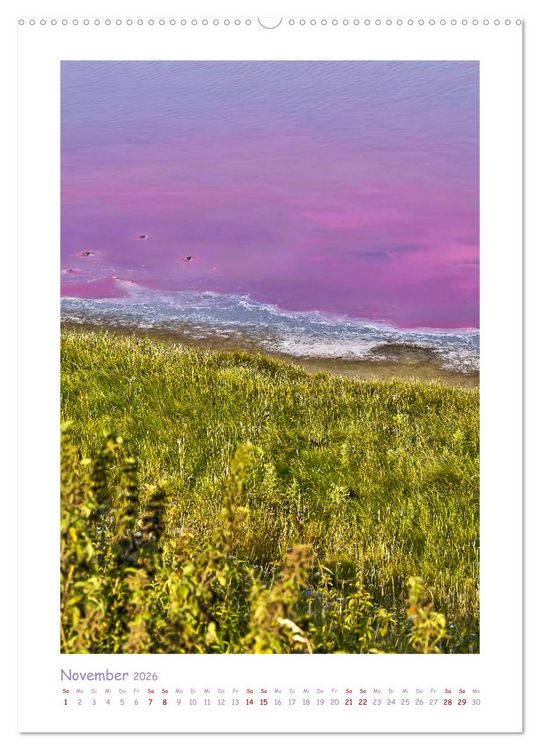 Produktbild: Texel - Momente die verzaubern (Wandkalender 2026 DIN A2 hoch), CALVENDO Monatskalender