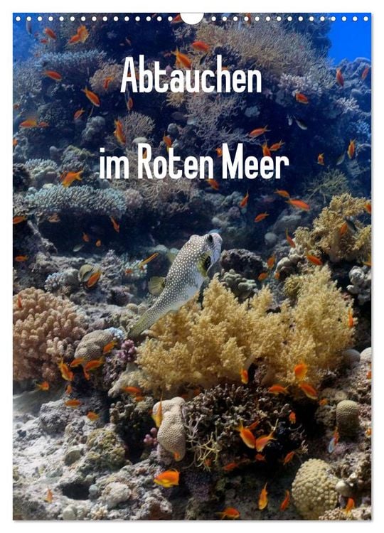 Produktbild: Abtauchen im Roten Meer (Wandkalender 2026 DIN A3 hoch), CALVENDO Monatskalender
