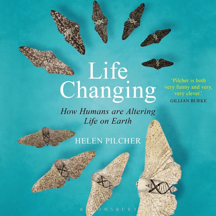 Produktbild: Life Changing