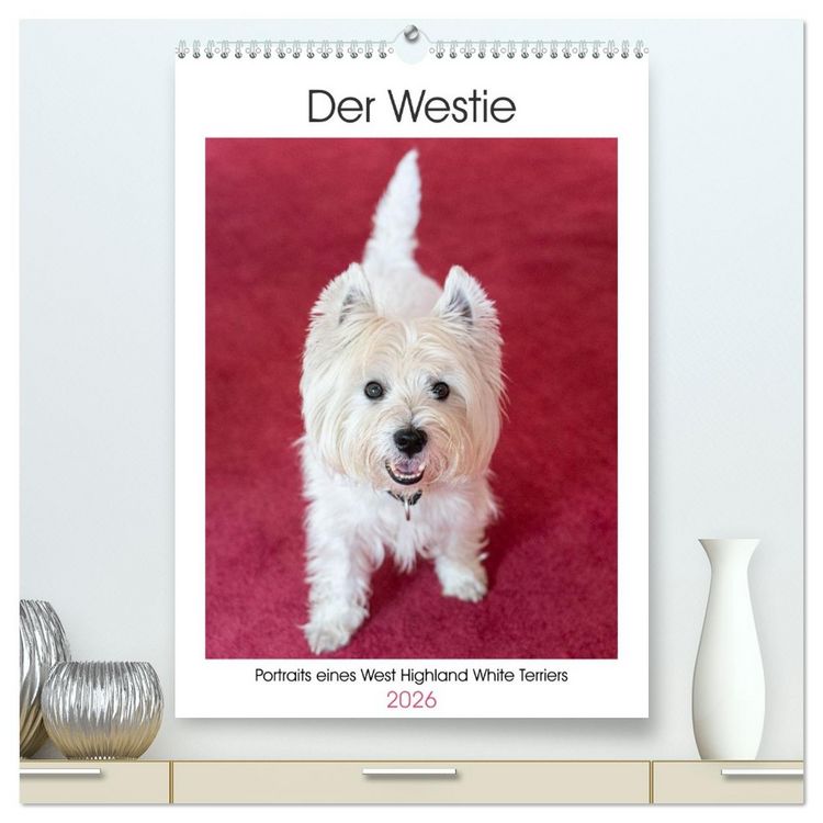 Produktbild: Der Westie - Portrait eines West Highland White Terriers (hochwertiger Premium Wandkalender 2026 DIN A2 hoch), Kunstdruck in Hochglanz
