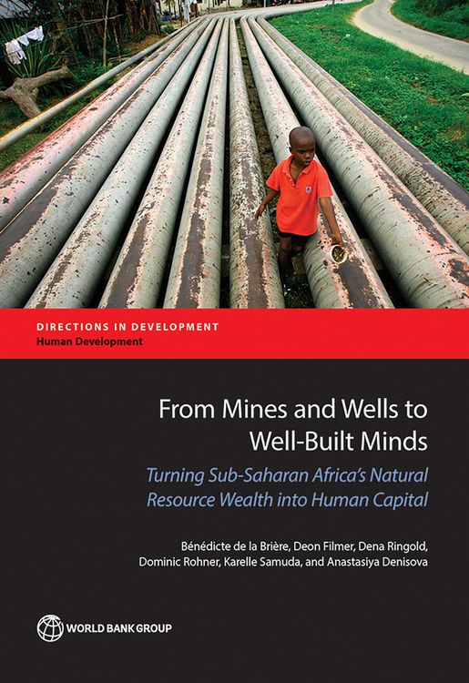 Produktbild: From Mines and Wells to Well-Built Minds