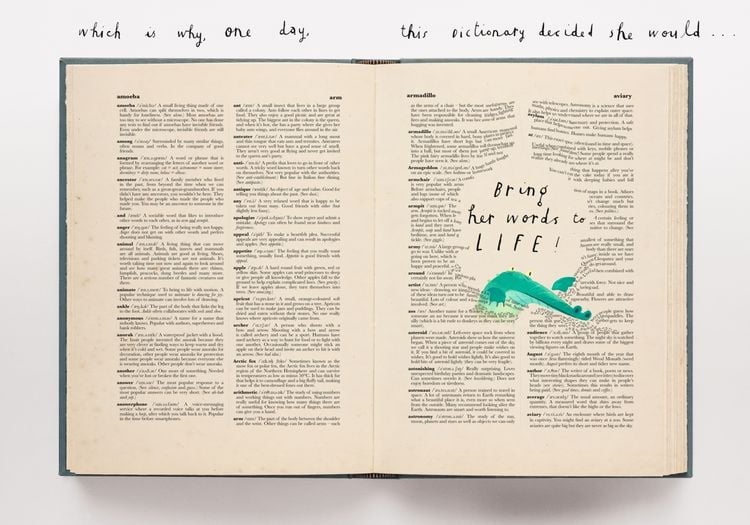 Produktbild: The Dictionary Story