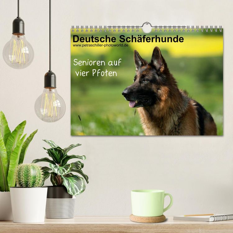 Produktbild: Deutsche Sch&auml;ferhunde - Senioren auf vier Pfoten (Wandkalender 2026 DIN A4 quer), CALVENDO Monatskalender