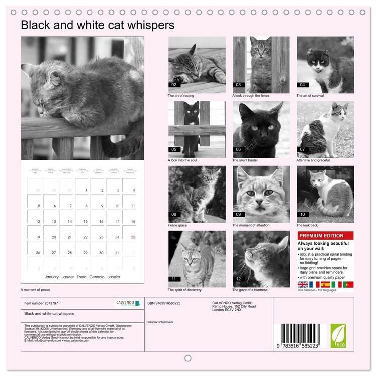Produktbild: Black and white cat whispers (Wall Calendar 2026 12 &times; 12 Inch) CALVENDO 12 Month Wall Calendar