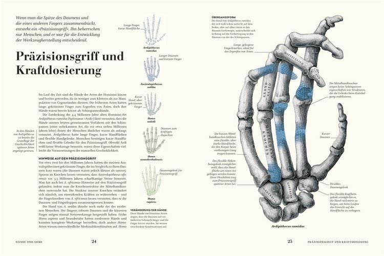 Produktbild: HUMANS. Der Mensch