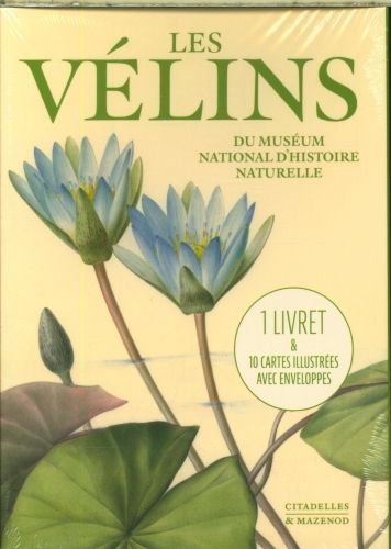 Produktbild: Les v&eacute;lins : du mus&eacute;um national d'histoire naturelle