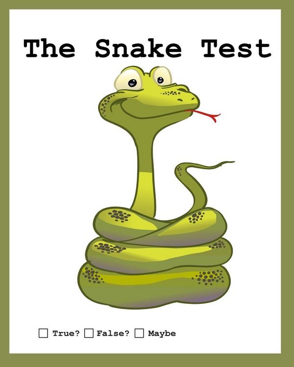 Produktbild: The Snake Test