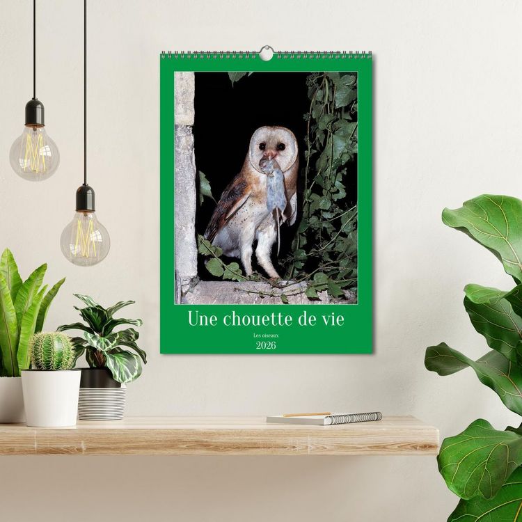 Produktbild: Une chouette de vie, les oiseaux (Calendrier mural 2026 DIN A3 horizontal), CALVENDO calendrier mensuel