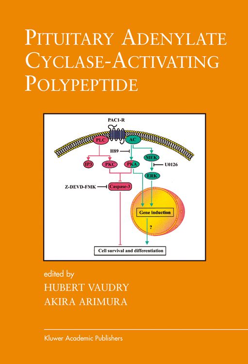 Produktbild: Pituitary Adenylate Cyclase-Activating Polypeptide