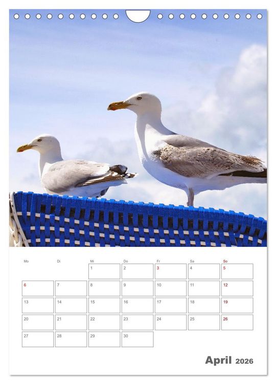 Produktbild: Mein Warnem&uuml;nde - Das moderne Ostseebad im Norden von Rostock (Wandkalender 2026 DIN A4 hoch), CALVENDO Monatskalender