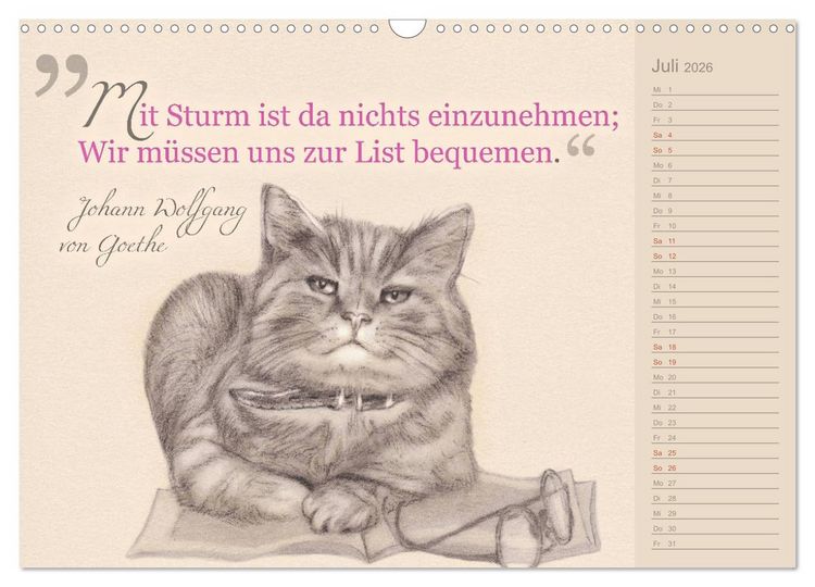 Produktbild: Von Katzen lernen (Wandkalender 2026 DIN A3 quer), CALVENDO Monatskalender