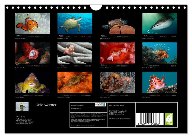 Produktbild: Unterwasser (Wandkalender 2026 DIN A4 quer), CALVENDO Monatskalender