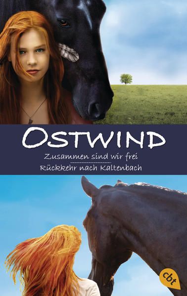 Produktbild: Ostwind