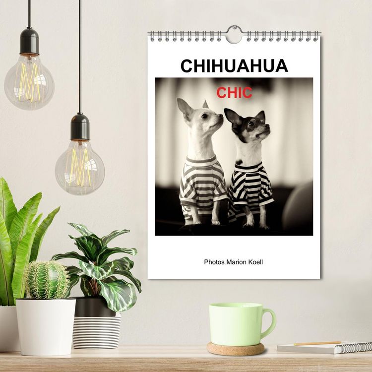 Produktbild: CHIHUAHUA CHIC Photos Marion Koell (Wandkalender 2026 DIN A4 hoch), CALVENDO Monatskalender