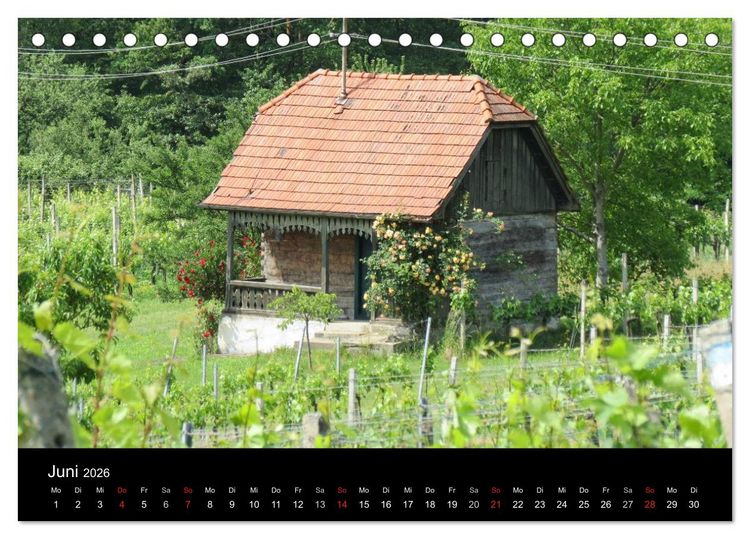 Produktbild: Weinidylle im S&uuml;dburgenland (Tischkalender 2026 DIN A5 quer), CALVENDO Monatskalender
