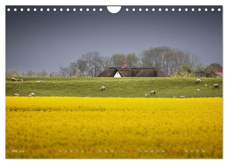 Produktbild: Wundersch&ouml;nes Eiderstedt (Wandkalender 2026 DIN A4 quer), CALVENDO Monatskalender