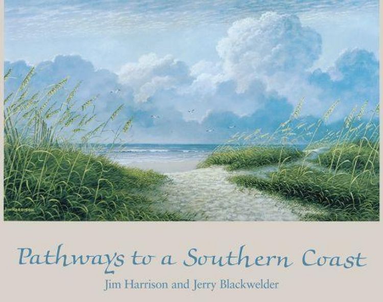 Produktbild: Pathways to a Southern Coast