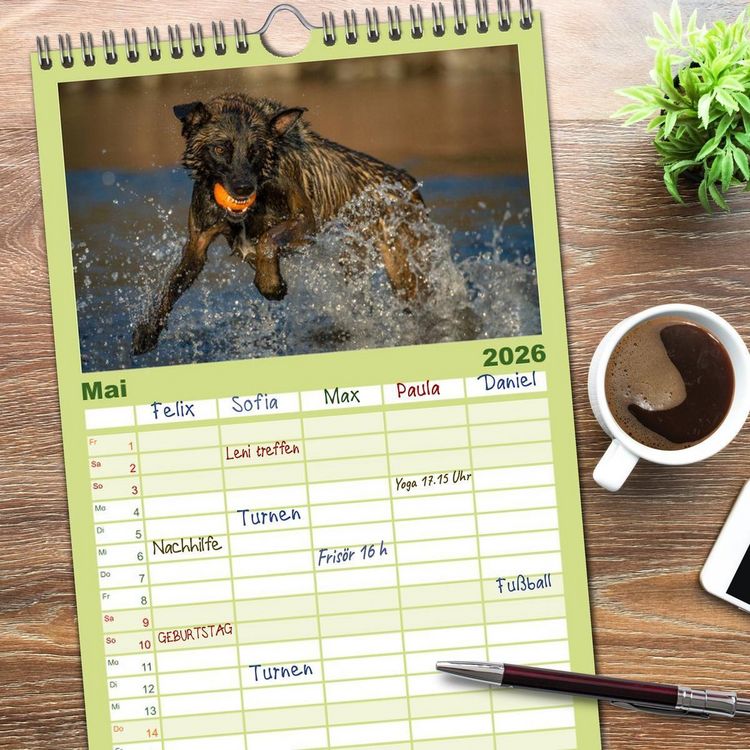 Produktbild: Familienplaner 2026 - Belgischer Sch&auml;ferhund - Der Malinois in Action mit 5 Spalten (Wandkalender, 21 x 45 cm) CALVENDO