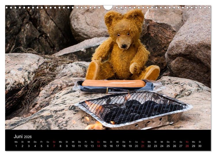 Produktbild: Teddy Basse, Fortsetzung... (Wandkalender 2026 DIN A3 quer), CALVENDO Monatskalender