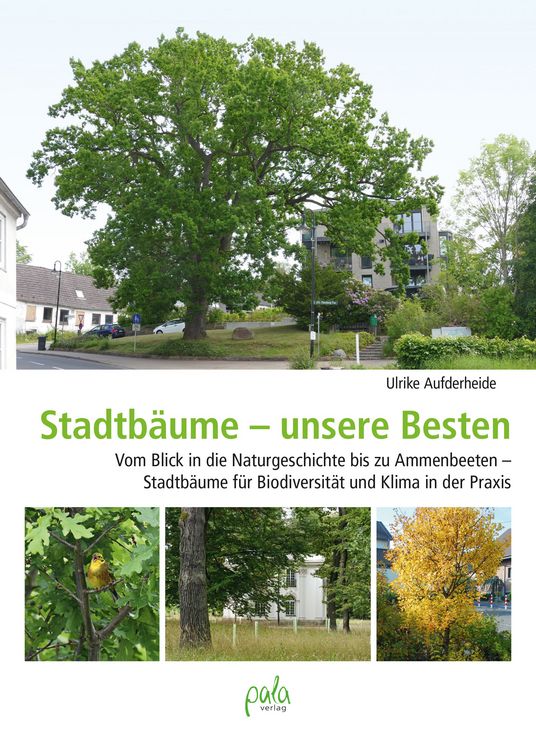 Produktbild: Stadtb&auml;ume &ndash; unsere Besten