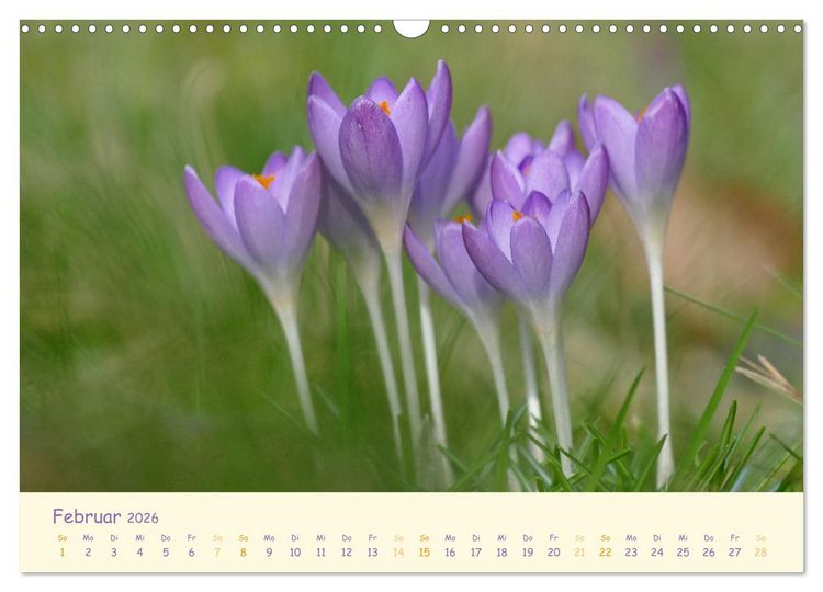 Produktbild: Naturwunder Bl&uuml;ten (Wandkalender 2026 DIN A3 quer), CALVENDO Monatskalender