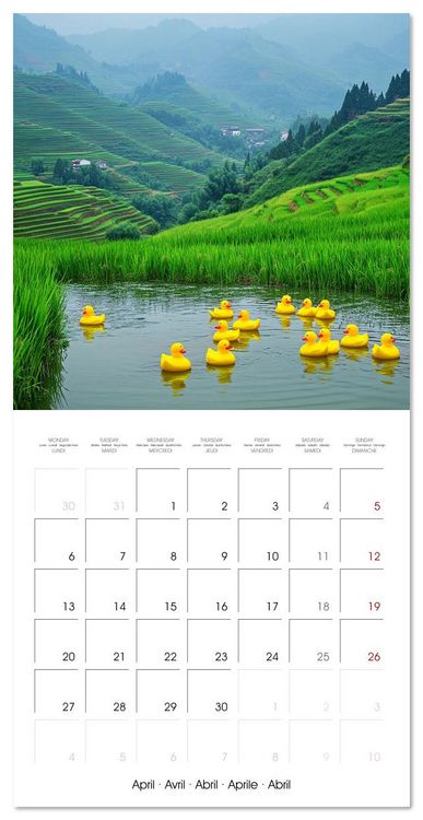 Produktbild: Yellow Travelers (Wall Calendar 2026 12 &times; 12 Inch) CALVENDO 12 Month Wall Calendar