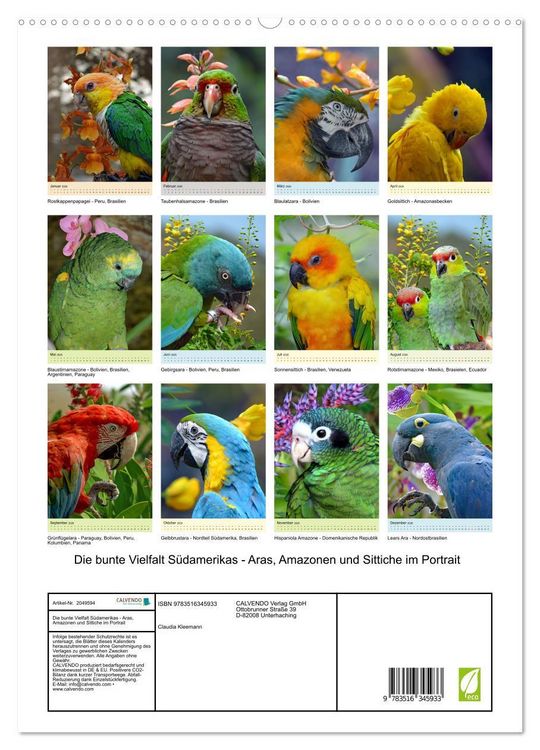 Produktbild: Die bunte Vielfalt S&uuml;damerikas - Aras, Amazonen und Sittiche im Portrait (hochwertiger Premium Wandkalender 2026 DIN A2 hoch), Kunstdruck in Hochglanz