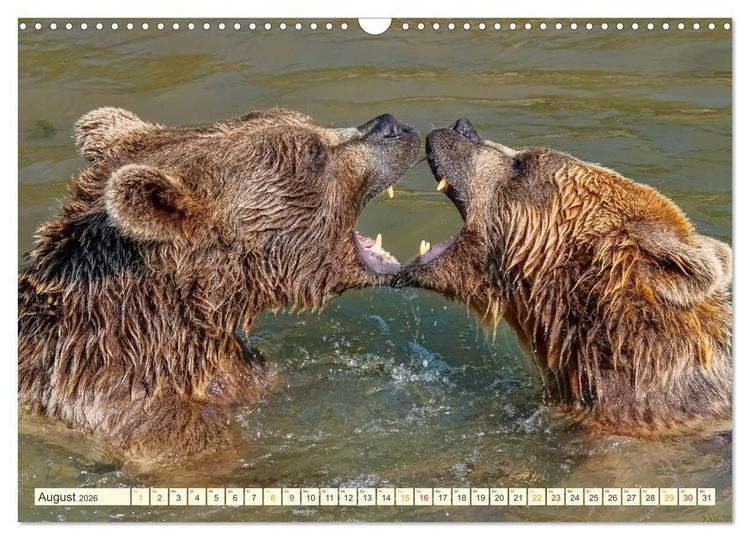 Produktbild: B&uuml;hne frei f&uuml;r - Alaska (Wandkalender 2026 DIN A3 quer), CALVENDO Monatskalender