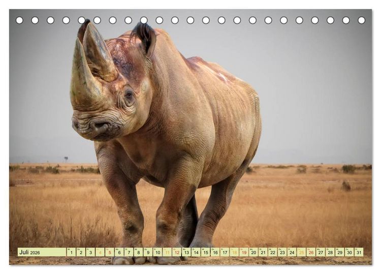 Produktbild: Bedrohte Tierart - Nashorn (Tischkalender 2026 DIN A5 quer), CALVENDO Monatskalender