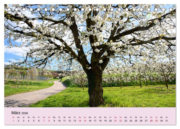 Produktbild: Augenblicke im Kaiserstuhl (Tischkalender 2026 DIN A5 quer), CALVENDO Monatskalender
