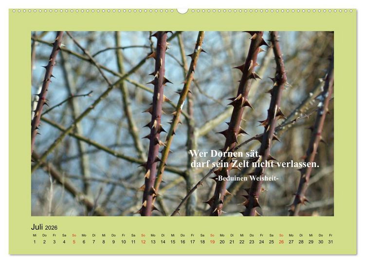 Produktbild: Lebensweisheiten mit Bildern unterlegt (Wandkalender 2026 DIN A2 quer), CALVENDO Monatskalender