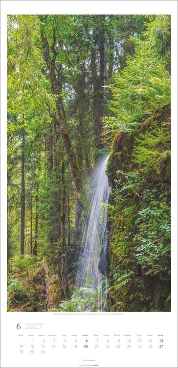 Produktbild: Im Wald Kalender 2027