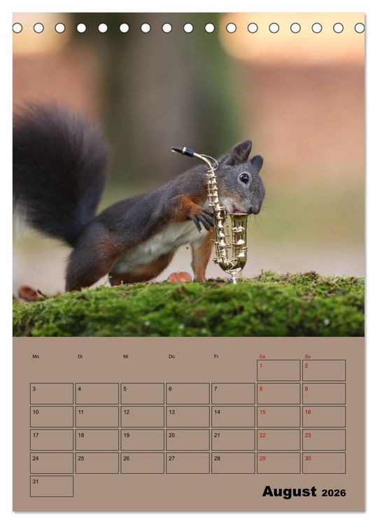 Produktbild: Eichh&ouml;rnchen - Planer (Tischkalender 2026 DIN A5 hoch), CALVENDO Monatskalender