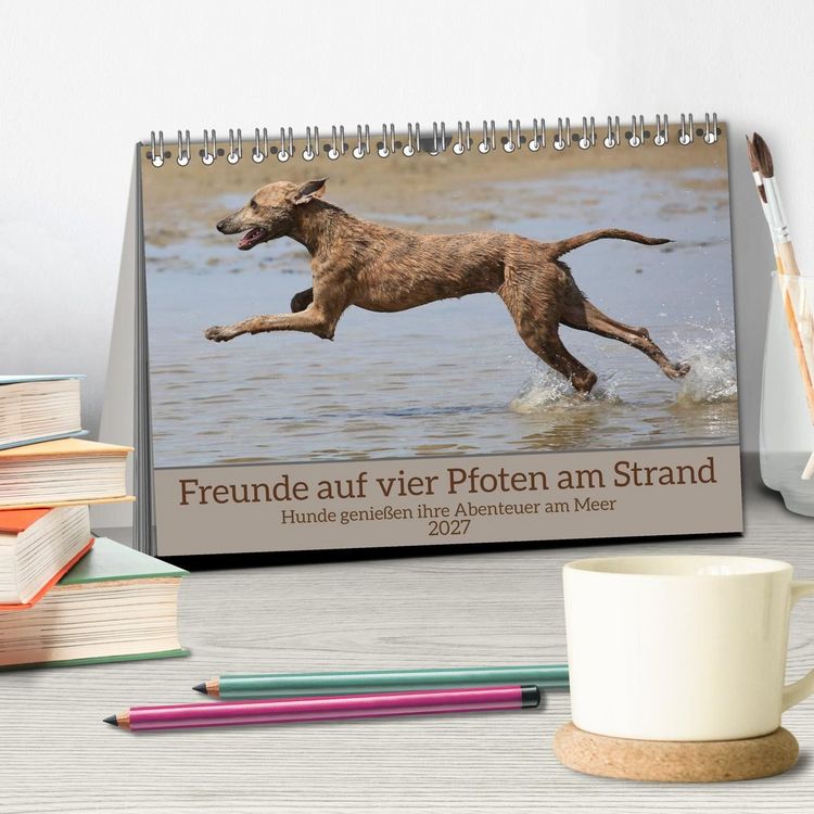 Produktbild: Freunde auf vier Pfoten am Strand (Tischkalender 2027 DIN A5 quer), CALVENDO Monatskalender