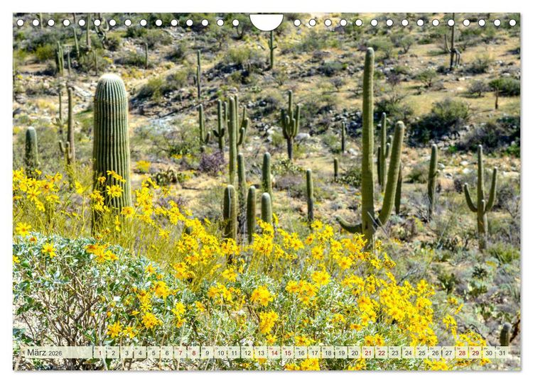 Produktbild: Unterwegs in ARIZONA (Wandkalender 2026 DIN A4 quer), CALVENDO Monatskalender