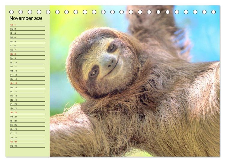 Produktbild: Der Faultier-Planer f&uuml;r mehr Ruhe und Gem&uuml;tlichkeit! (Tischkalender 2026 DIN A5 quer), CALVENDO Monatskalender