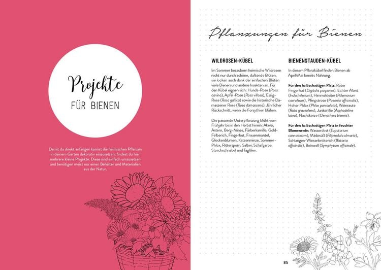 Produktbild: Mein Garten &ndash; Das illustrierte Gartenbuch
