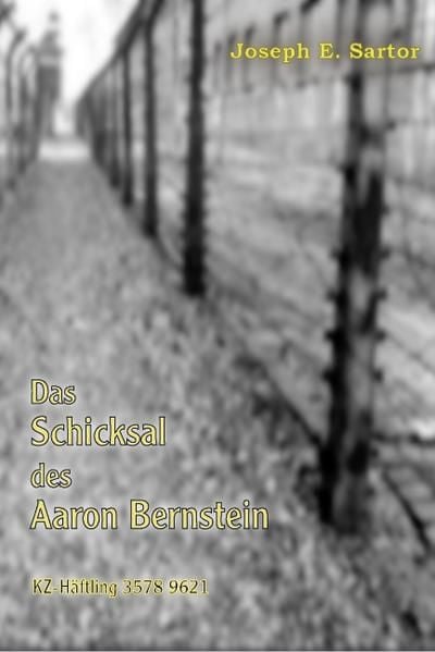 Produktbild: Das Schicksal des Aaron Bernstein