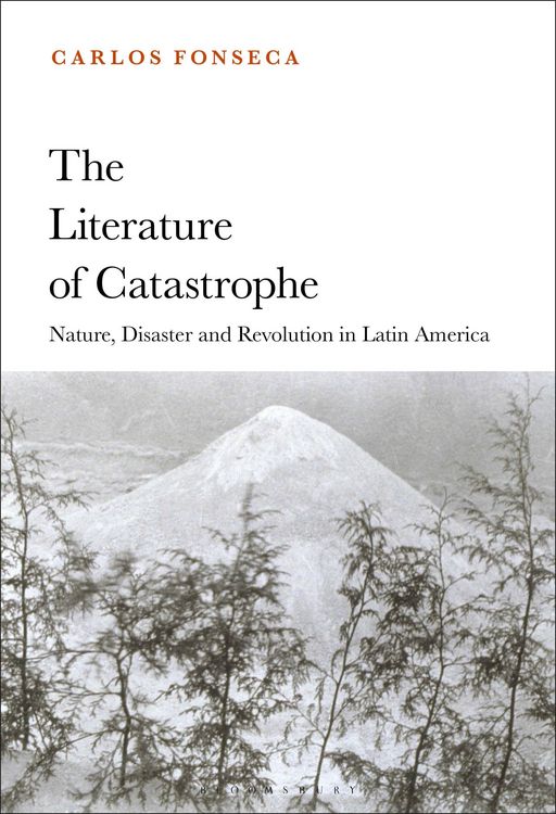 Produktbild: The Literature of Catastrophe