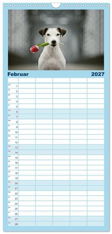 Produktbild: Familienplaner 2027 - Parson Russell Terrier mit 5 Spalten (Wandkalender, 21 x 45 cm) CALVENDO