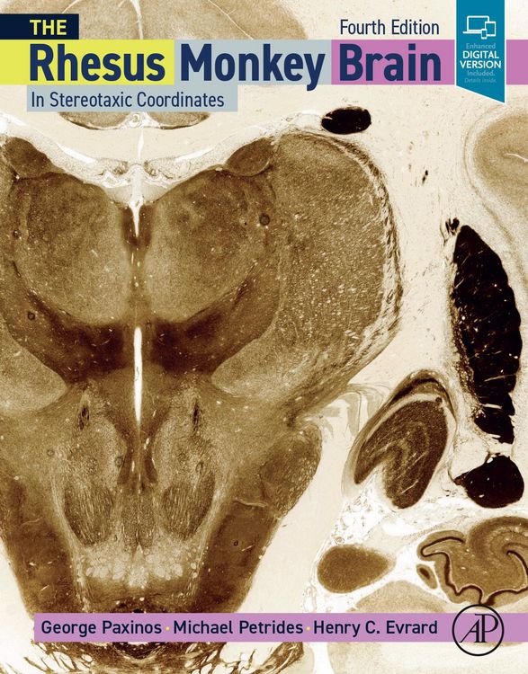 Produktbild: The Rhesus Monkey Brain in Stereotaxic Coordinates