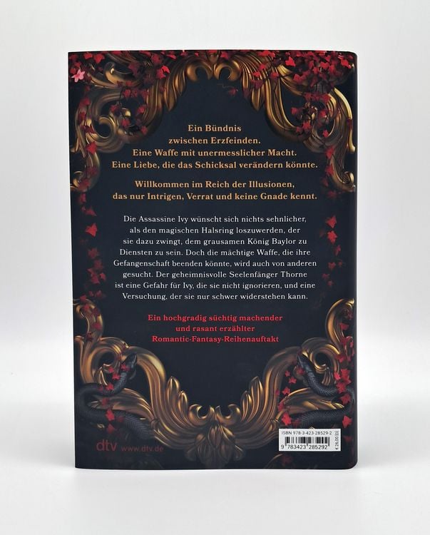 Produktbild: Heir of Illusion