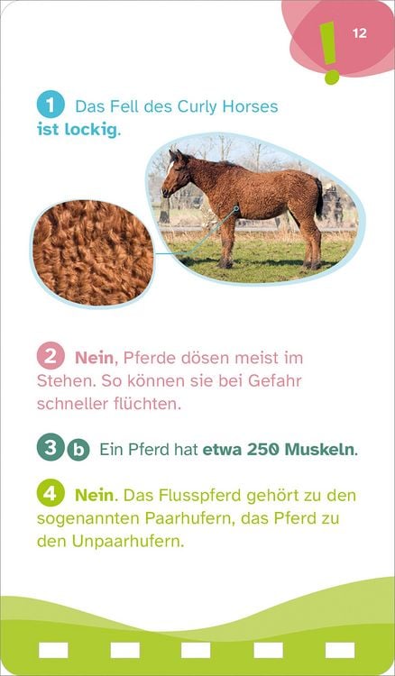 Produktbild: WAS IST WAS Quiz Pferde