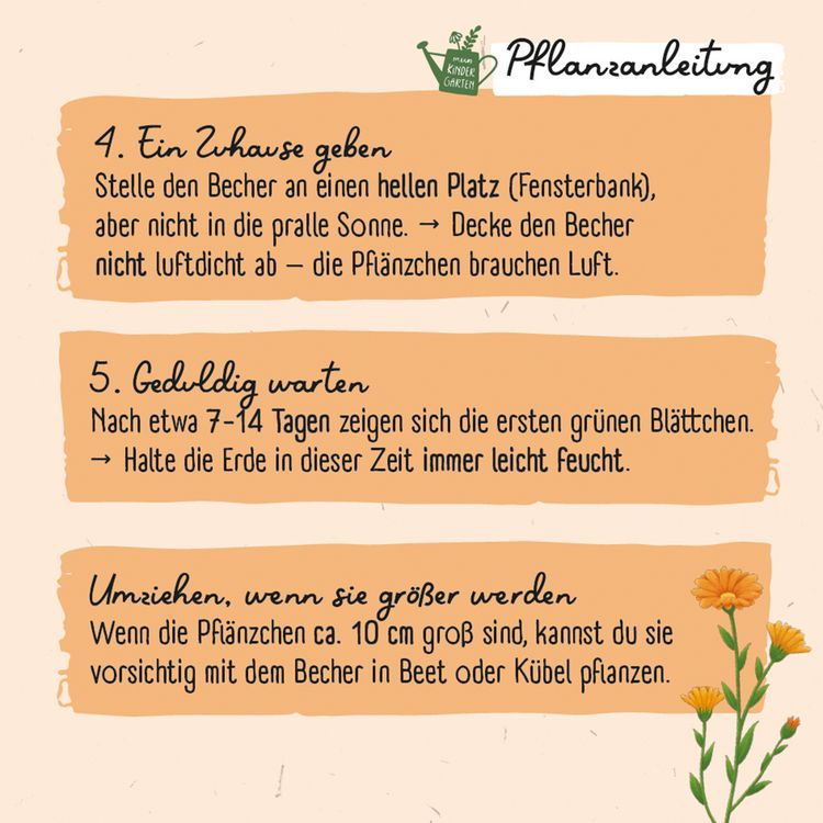 Produktbild: Ringel-Ringel-Blume