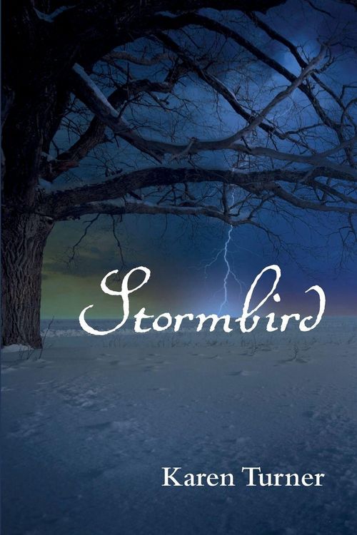 Produktbild: Stormbird