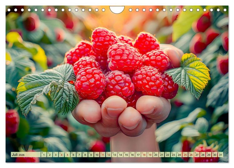Produktbild: Erntegl&uuml;ck - Eine handvoll s&uuml;&szlig;er Fr&uuml;chte zum Anbei&szlig;en (Wandkalender 2026 DIN A4 quer), CALVENDO Monatskalender
