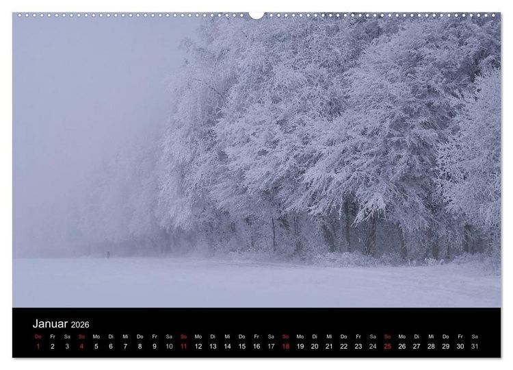 Produktbild: Mysterium Wald (Wandkalender 2026 DIN A2 quer), CALVENDO Monatskalender